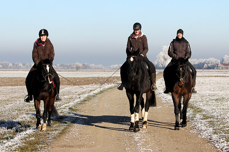 ausritt zu pferd