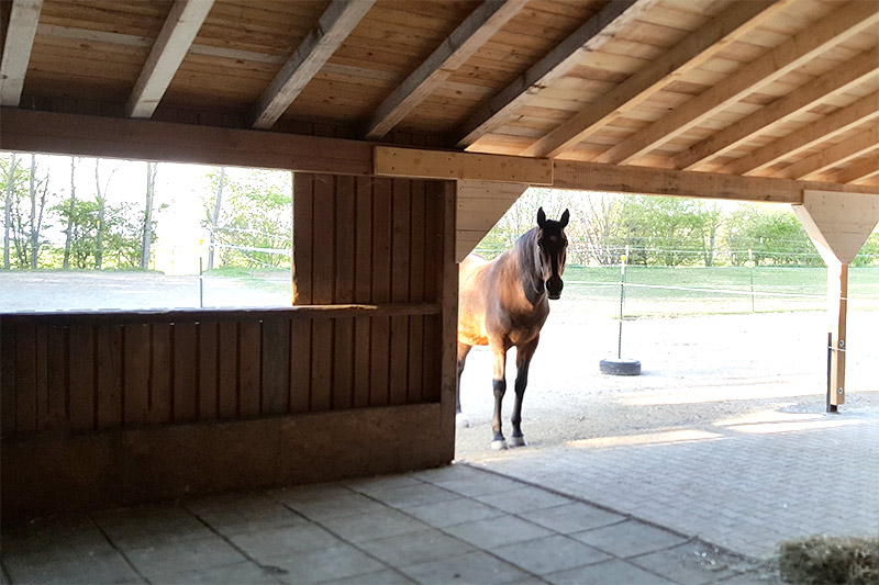 pensionsstall offenstall